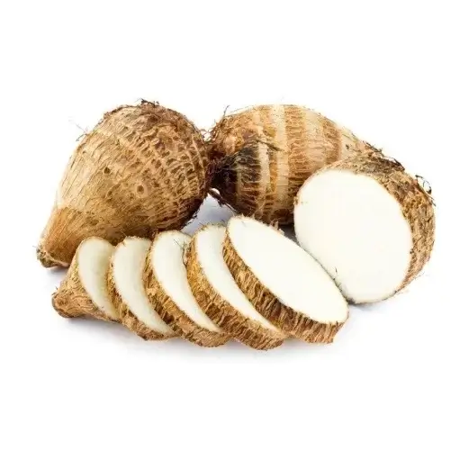 TIQUISQUE-e1649021420194