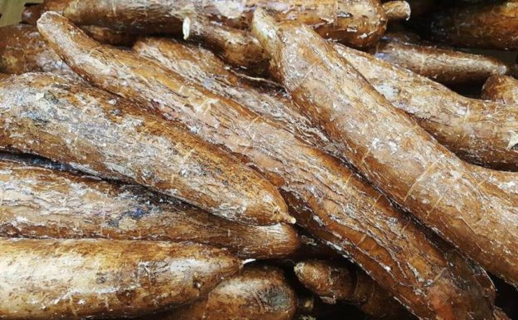 como-cocinar-yuca-khtC-U110174871060VZD-1248x770@Diario Vasco